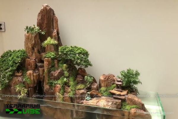 Đá gỗ hóa thạch 4 Ứng dụng đá gỗ hóa thạch khi thiết kế terrarium