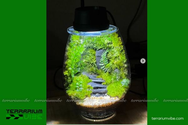 Đá Nham Xanh 4 Đặc tính của đá Nham Xanh trong thiết kế terrarium