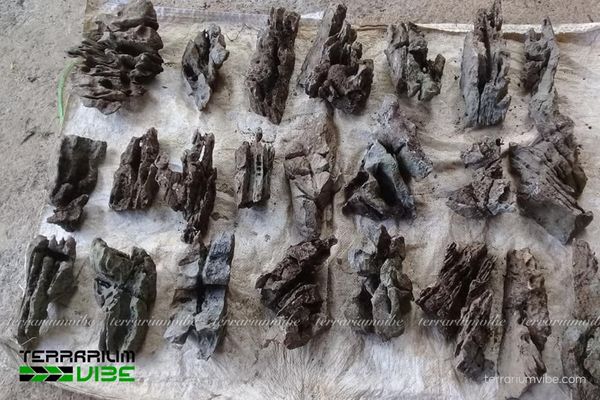 Đá tai mèo 5 Xử lý đá tai mèo đúng cách trước khi trang trí terrarium