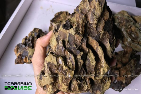 Đá tiger 1 Giới thiệu về đặc điểm của đá Tiger