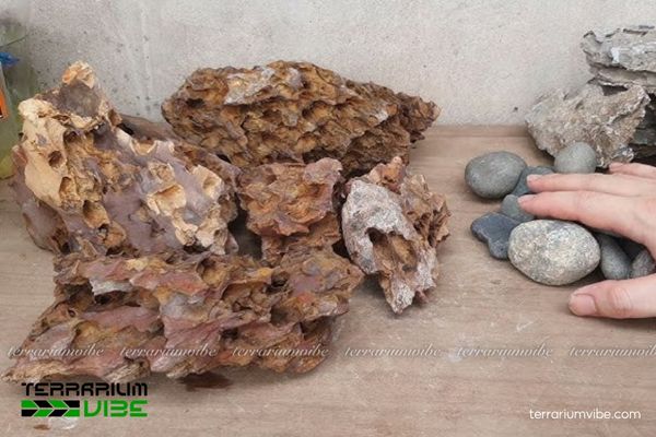 Đá tiger 6 Hướng dẫn xử lý đá Tiger trước khi sử dụng trong terrarium