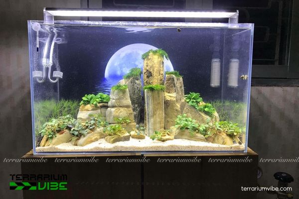 Đá trầm tích 3 Công dụng của đá trầm tích trong làm tiểu cảnh, thủy sinh