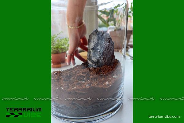 Đá trầm tích 4 Ứng dụng đá trầm tích trong thiết kế terrarium