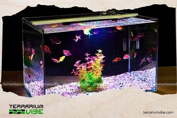 How long aquarium lights should be on to ensure stable growth and prevent algae 3 How long aquarium lights should be on for low light plants