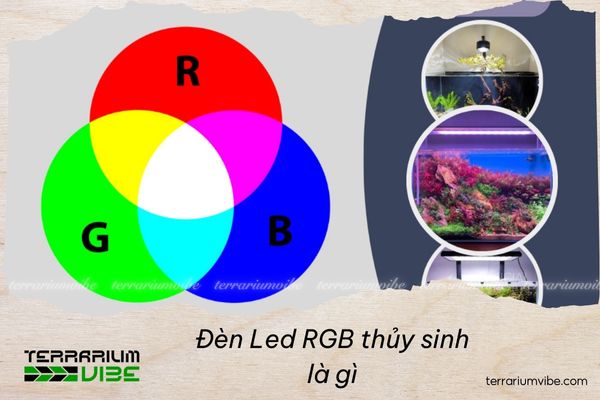 Đèn Led RGB thủy sinh là gì và những điều bạn cần biết 1 Các thành phần chính trong đèn Led RGB thủy sinh là gì