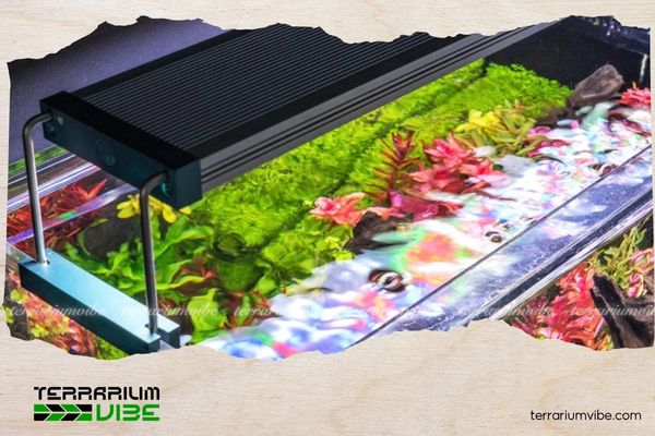 Top 7 đèn thủy sinh hẹn giờ chất lượng đáng mua nhất hiện nay và cách sử dụng hiệu quả 3 Đèn thủy sinh hẹn giờ Twinstar Light III