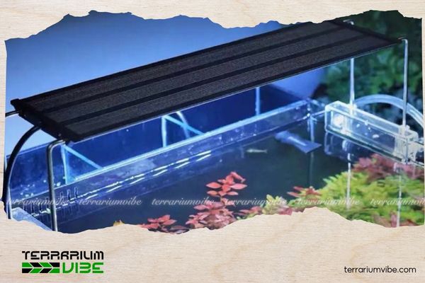 Top 7 đèn thủy sinh hẹn giờ chất lượng đáng mua nhất hiện nay và cách sử dụng hiệu quả 6 Đèn thủy sinh hẹn giờ Aquario Neo Light