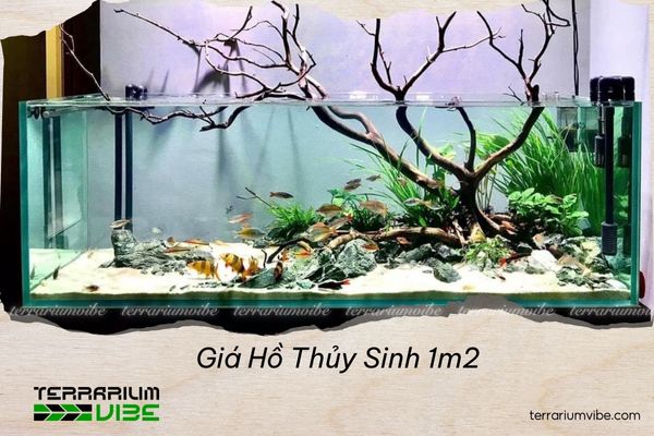 Giá hồ thủy sinh 1m2