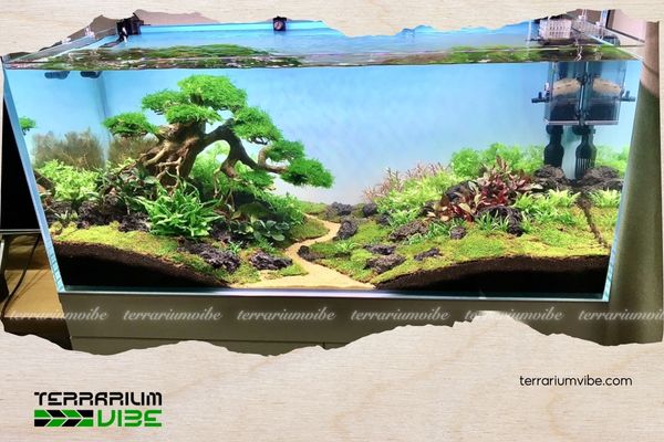 4 yếu tố ảnh hưởng đến giá hồ thủy sinh 60x40x40 4 Nên lựa chọn nhà sản xuất uy tín