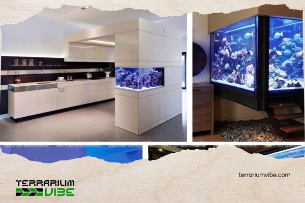 4 yếu tố ảnh hưởng đến giá hồ thủy sinh 60x40x40 5 Một số lưu ý giúp bạn lựa chọn được hồ ưng ý