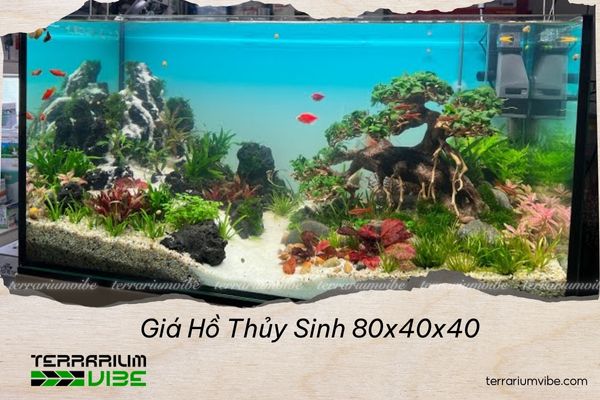 Giá hồ thủy sinh 80x40x40