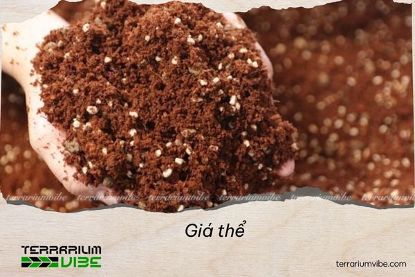 What Is Growing Medium? Understanding the Foundation of Modern Plant Cultivation 1 Giá thể là môi trường thay thế đất