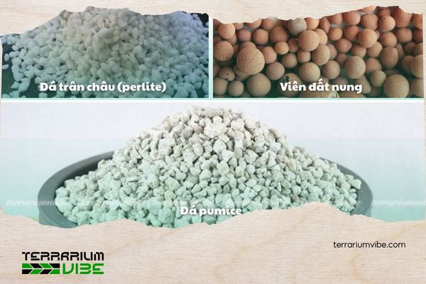 What Is Growing Medium? Understanding the Foundation of Modern Plant Cultivation 5 Giá thể trơ cứng