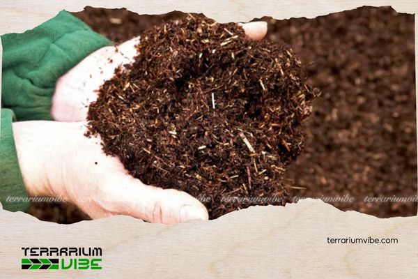 What Is Growing Medium? Understanding the Foundation of Modern Plant Cultivation 6 Có nhiều công thức trộn giá thể khác nhau