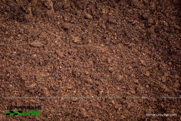 Giá thể mụn dừa 1 Tìm hiểu đặc điểm của giá thể mụn dừa