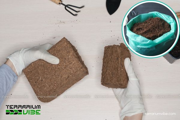 Giá thể mụn dừa 2 Đặc tính và quy cách đóng gói giá thể mụn dừa trên thị trường