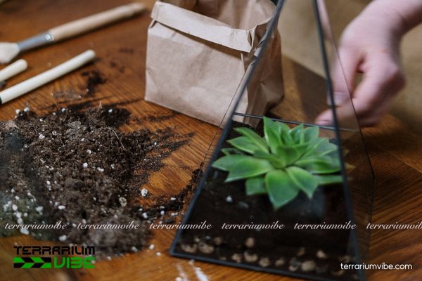 Giá thể mụn dừa 3 Tác dụng của mụn dừa trong làm hồ cạn và thủy sinh