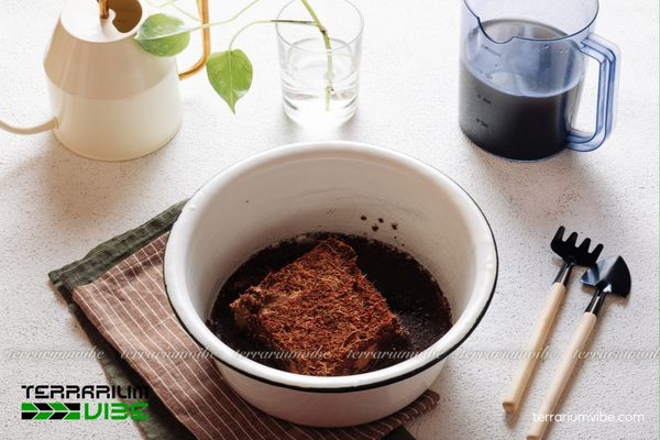 Giá thể mụn dừa 5 Hướng dẫn xử lý mụn dừa làm giá thể trước khi trồng terrarium