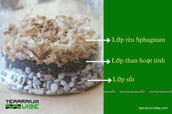 Giá thể vi sinh 5 Cách ứng dụng giá thể vi sinh trong thiết kế terrarium