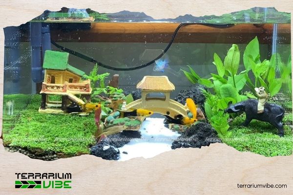 Hệ thống lọc cho hồ thủy sinh và vai trò của nó trong thế giới thủy sinh 2 Cách lựa chọn hệ thống lọc cho hồ thủy sinh phù hợp