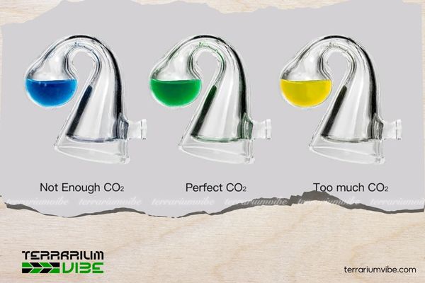 What’s the Ideal CO2 dosage for planted aquariums? 3 Drop Checker để đo CO2 trong nước
