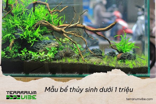 Aquascaping on a budget: Beautiful aquarium setups under $40 1 Key factors to consider when choosing aquarium setups under $40