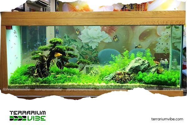 Captivating aquascapes that breathe life into your living room 6 Design 4