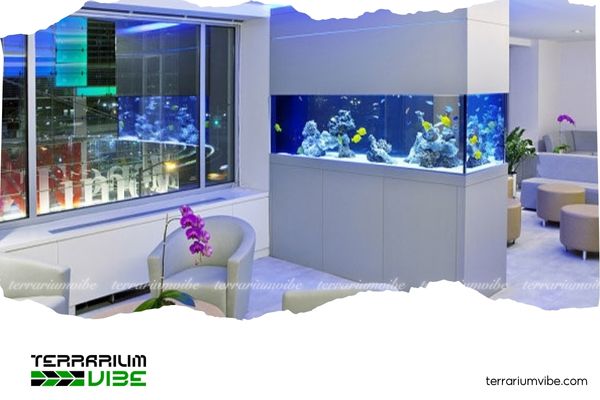 Captivating aquascapes that breathe life into your living room 8 Tips for placing and maintaining an aquarium in the living room