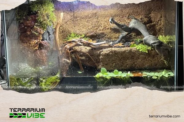 Paludarium là gì? Tìm hiểu hệ sinh thái thu nhỏ kết hợp nước và đất 6 Vi sinh vật và sinh vật hỗ trợ