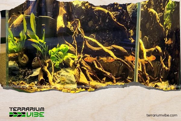 5+ Key Differences Between Fish Tanks and Planted Aquariums You Should Know 2 Phân biệt dựa trên kích thước và thiết kế bể