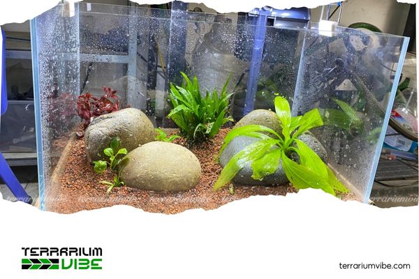 Simple and budget-friendly aquascape tips for a stunning 40x30x30cm aquarium 1 Why a 40x30x30cm aquarium is the perfect starter size