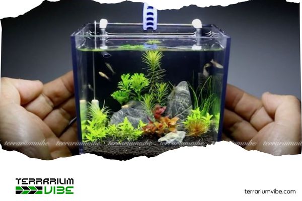 Bật mí trọn bộ bí quyết setup hồ thủy sinh mini đẹp mê ly 2 Những điểm độc đáo của hồ thủy sinh mini có thể bạn chưa biết