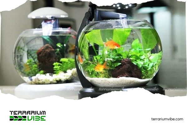 Bật mí trọn bộ bí quyết setup hồ thủy sinh mini đẹp mê ly 3 Cách setup hồ thủy sinh mini đơn giản, hiệu quả