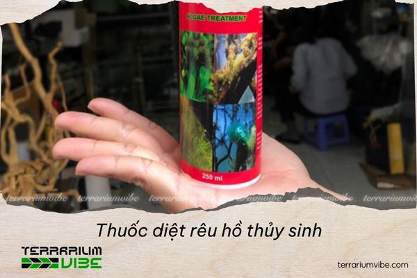 thuốc diệt rêu hồ thủy sinh
