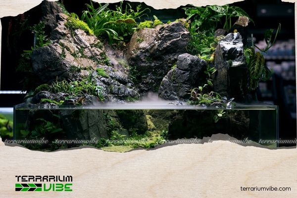 What Is a Vivarium? Explore a Miniature World That Recreates Nature in Your Living Space 3 Vivarium được tạo ra như một hệ sinh thái