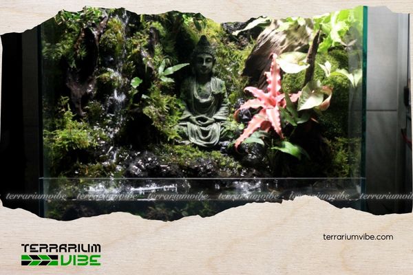 What Is a Vivarium? Explore a Miniature World That Recreates Nature in Your Living Space 5 Để chăm sóc Vivarium cần chú ý đến các yêu tố môi trường sống