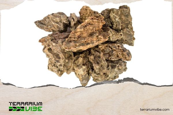 Top 5 các loại đá thủy sinh phổ biến và đẹp nhất cho hồ thủy sinh 2 Đá rồng