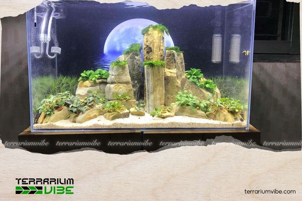 Top 5 các loại đá thủy sinh phổ biến và đẹp nhất cho hồ thủy sinh 4 Đá trầm tích