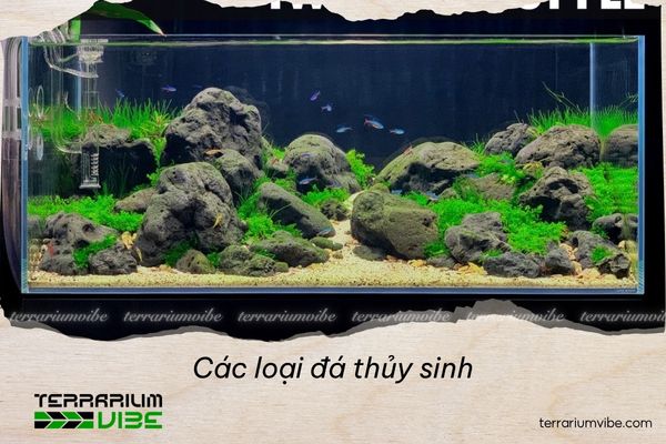 Các loại đá thủy sinh