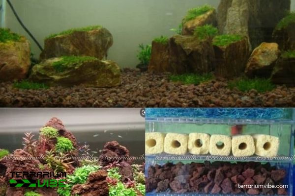 Đá nham thạch đỏ 5 Cách xử lý đá nham thạch đỏ trước khi trang trí tiểu cảnh