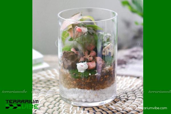 Đá nham thạch trắng 4 Ứng dụng đá nham thạch trắng hiệu quả trong làm tiểu cảnh