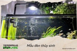 Tiêu chí chọn mẫu đèn thủy sinh phù hợp