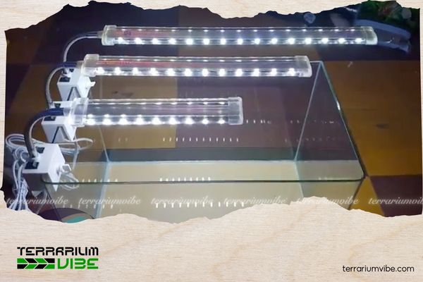 Top 7 mẫu đèn thủy sinh được ưa chuộng nhất năm 2025 2 Đèn kẹp hồ thủy sinh