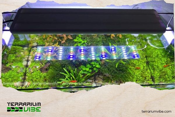 Top 7 mẫu đèn thủy sinh được ưa chuộng nhất năm 2025 4 Đèn thủy sinh ONF Flat Nano+