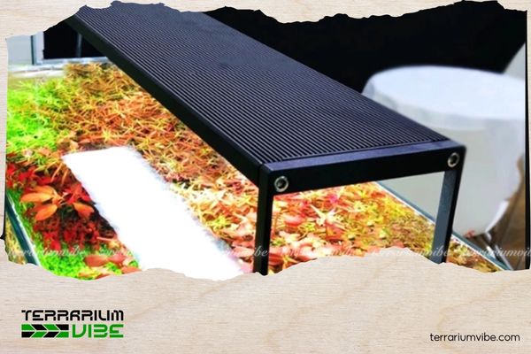 Top 7 mẫu đèn thủy sinh được ưa chuộng nhất năm 2025 5 Đèn rgb thuỷ sinh