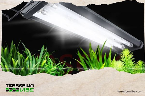 Top 7 mẫu đèn thủy sinh được ưa chuộng nhất năm 2025 7 Đèn hồ cá thủy sinh 1m