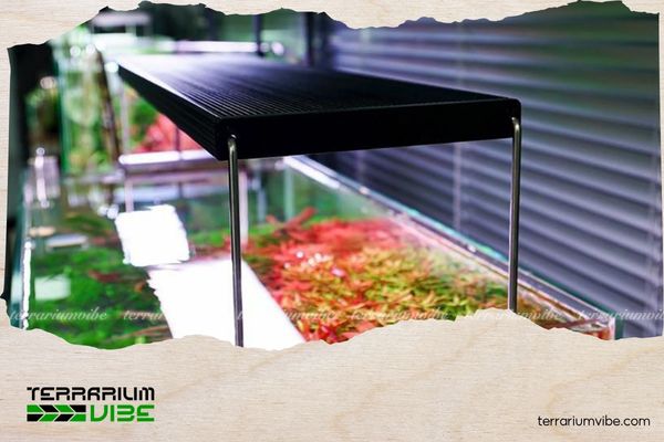 Top 7 mẫu đèn thủy sinh được ưa chuộng nhất năm 2025 9 Hướng dẫn bảo dưỡng và sử dụng đèn thủy sinh hiệu quả