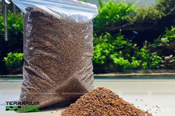 Sạn gốm 2 Đặc tính của sạn gốm lọc trong làm tiểu cảnh