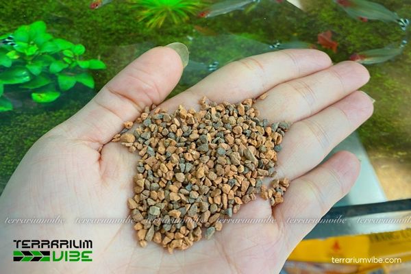 Sạn gốm 5 Xử lý sạn gốm đúng cách trước khi đưa vào tiểu cảnh