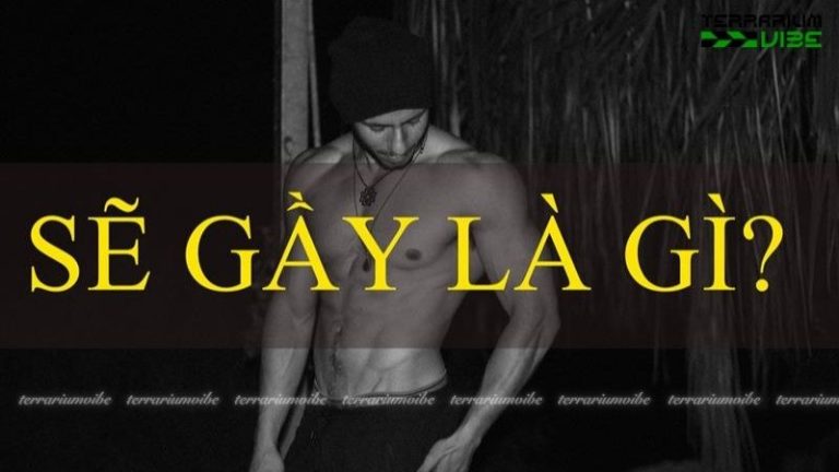 sẽ gầy là gì